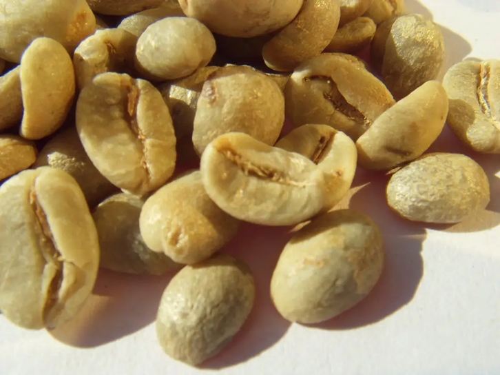 巴西進口生咖啡豆報關專業代理案例分享