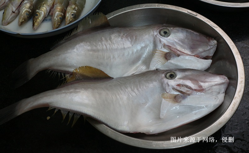 馬來西亞冷凍魚進(jìn)口報關(guān)費(fèi)用