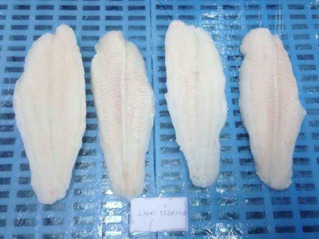 沙魚片進口清關報關