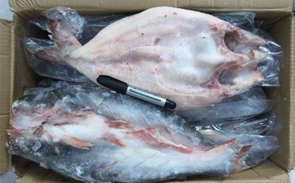 巴沙魚進口報關