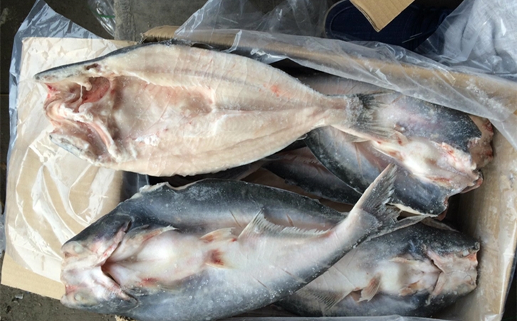 進口巴沙魚清關代理一點都不難，只要你準備好這些資料